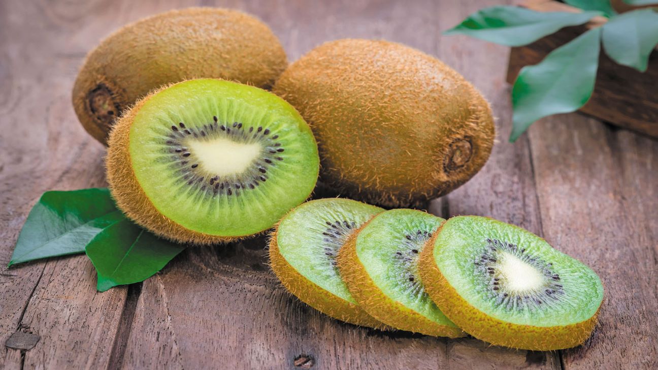 Kiwi What Is It, and How Can It Influence Success?
